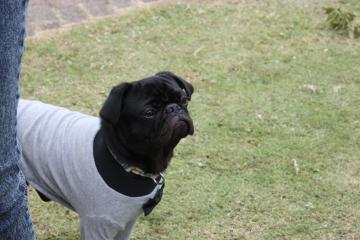 IMG_8405_convert_20110927224348.jpg