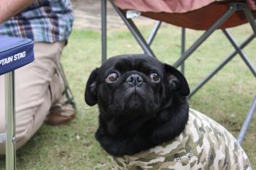 IMG_8407_convert_20110927224419.jpg