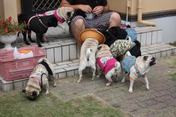IMG_8410_convert_20110927224533.jpg