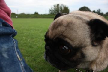 IMG_8418_convert_20110927224749.jpg