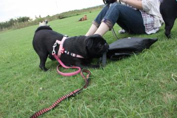 IMG_8422_convert_20110927224645.jpg