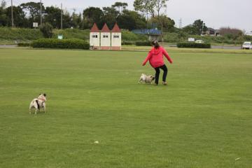IMG_8423_convert_20110927224829.jpg