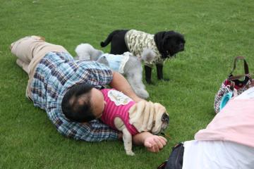 IMG_8424_convert_20110927224859.jpg