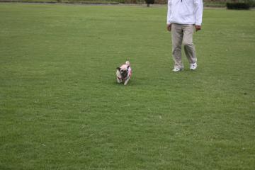 IMG_8426_convert_20110928231048.jpg