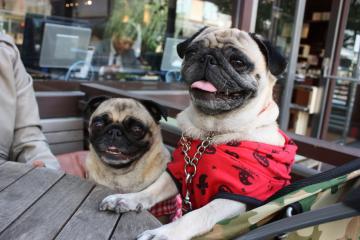 IMG_8437_convert_20111012230244.jpg