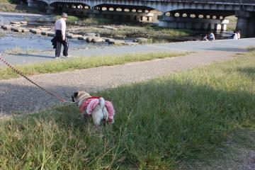 IMG_8448_convert_20111012230659.jpg