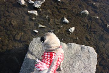IMG_8454_convert_20111012230953.jpg