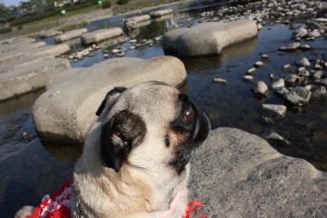 IMG_8456_convert_20111012231025.jpg