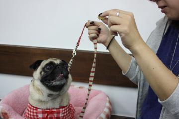 IMG_8467_convert_20111012231153.jpg
