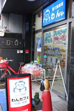 IMG_8475_convert_20111012231353.jpg