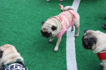 IMG_8495_convert_20111011222511.jpg