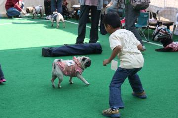 IMG_8496_convert_20111011222546.jpg