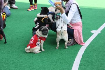 IMG_8497_convert_20111011222617.jpg