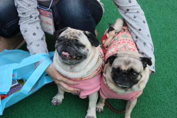 IMG_8537_convert_20111011224636.jpg