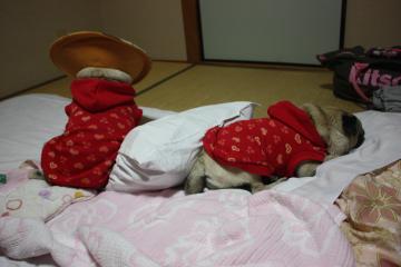IMG_8580_convert_20111012232002.jpg