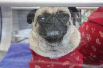 IMG_8583_convert_20111012232125.jpg