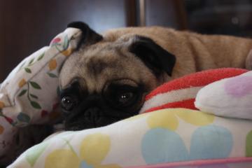 IMG_8603_convert_20111012232558.jpg
