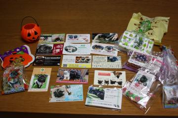 IMG_8604_convert_20111011231942.jpg