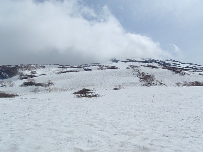 P5023799.jpg