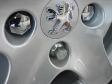 pj_11cc6639805.jpg