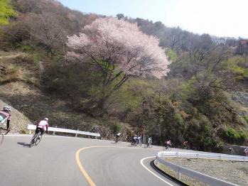 130414h.jpg