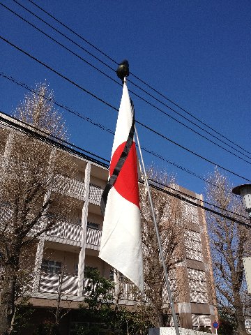 13031102.jpg