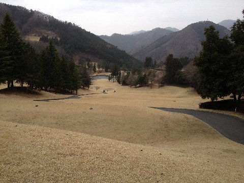 13031803.jpg