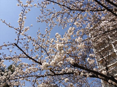 13031903.jpg