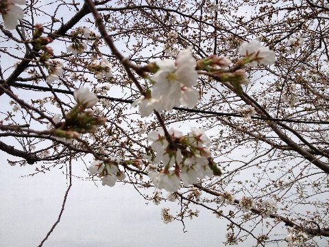 13032002.jpg