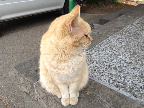 13041408.jpg