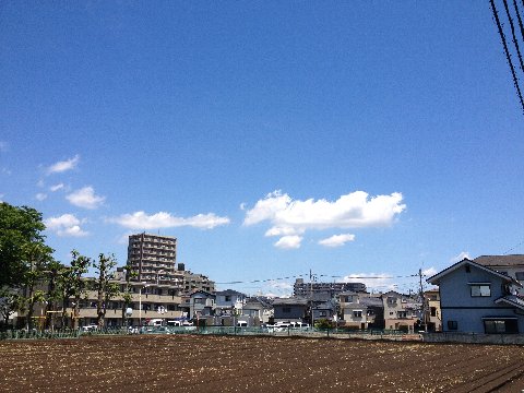 13051201.jpg