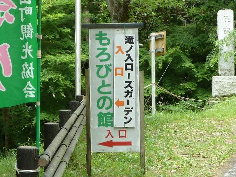 13052504.jpg