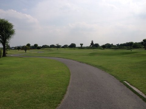 13061704.jpg