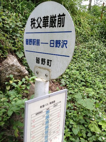 13062203.jpg