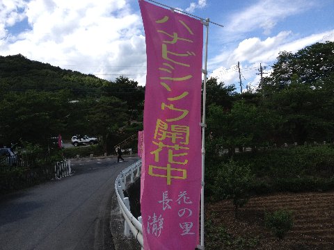 13062205.jpg