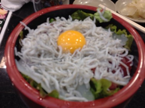 13071303.jpg