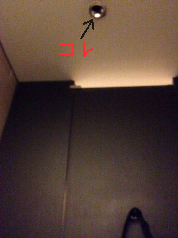 13071702.jpg