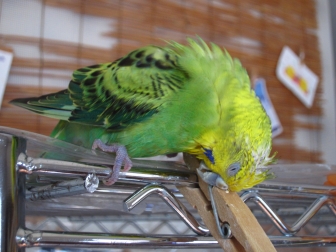 IMG_9661.jpg