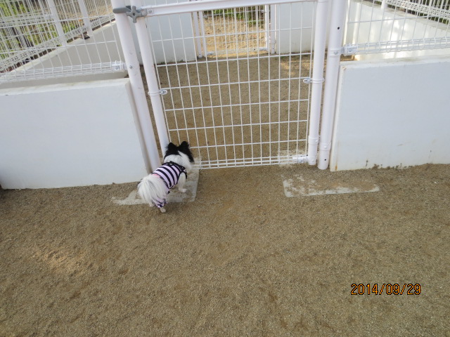 IMG_2772.jpg