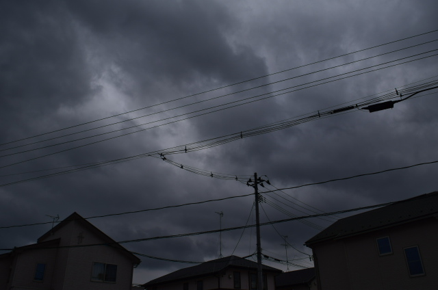 SSC_1115.jpg