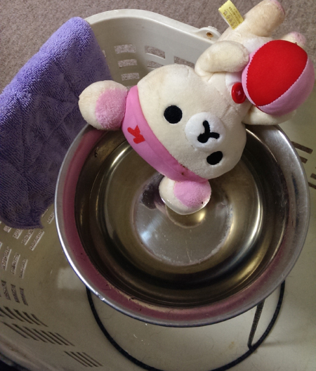 水ポチャしたぬいぐるみ