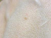 120422hand1.jpg
