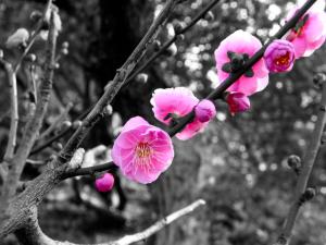 IMG_0159.jpg