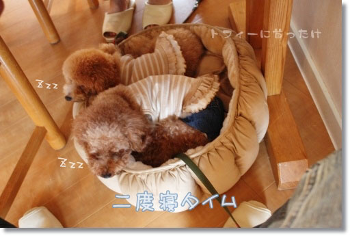 二度寝