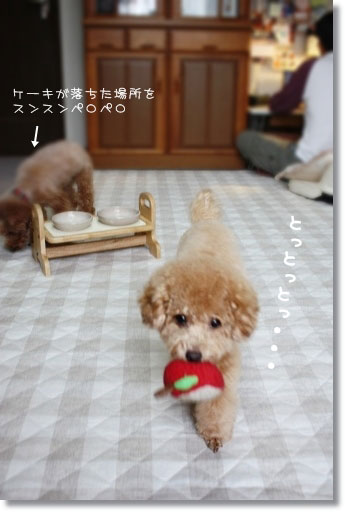とっとっと