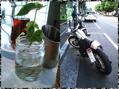 20110925-03.jpg