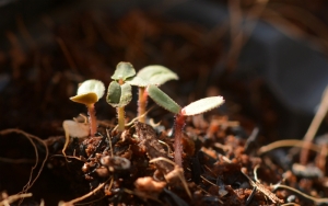 2014.02.19駒場 009s
