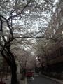 120406_071048.jpg