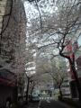 120406_071229.jpg