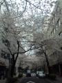 120406_071244.jpg